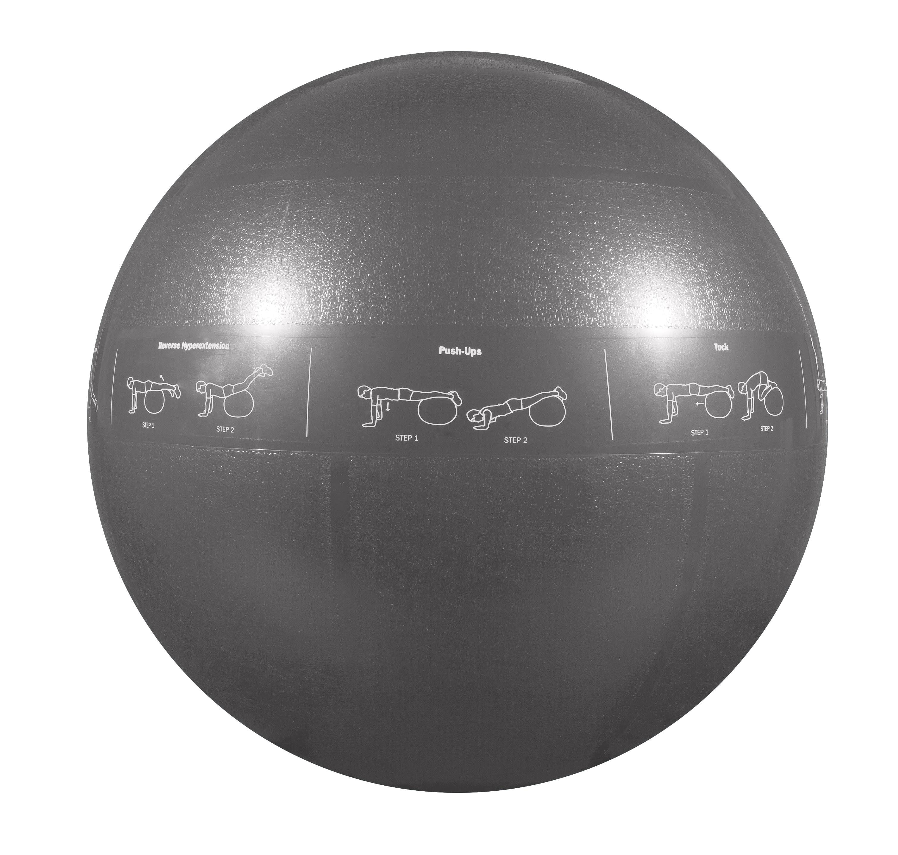 GoFit Pro Grade Stability Guide Ball with Pump (75cm; Silver), GF-75PRO