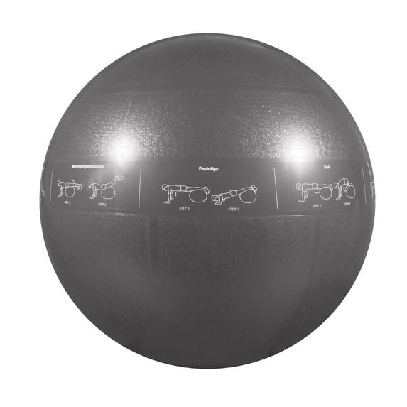 GoFit Pro Grade Stability Guide Ball with Pump (75cm; Silver), GF-75PRO
