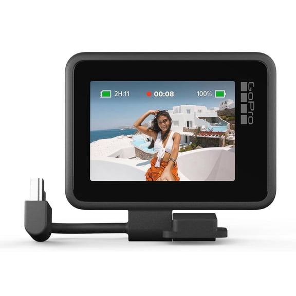 GoPro Display Mod - Official Accessory, 1080p
