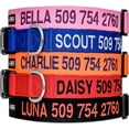 GoTags Personalized Dog Collar, Custom Embroidered Collar with Pet Name and Phone Number in Blue