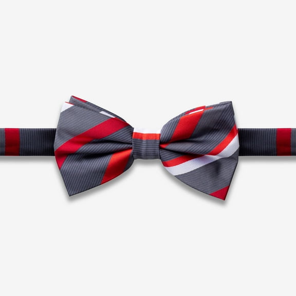 GoTie Red Meets Gray Striped BoTie Pretied Adjustable Mens Bowtie