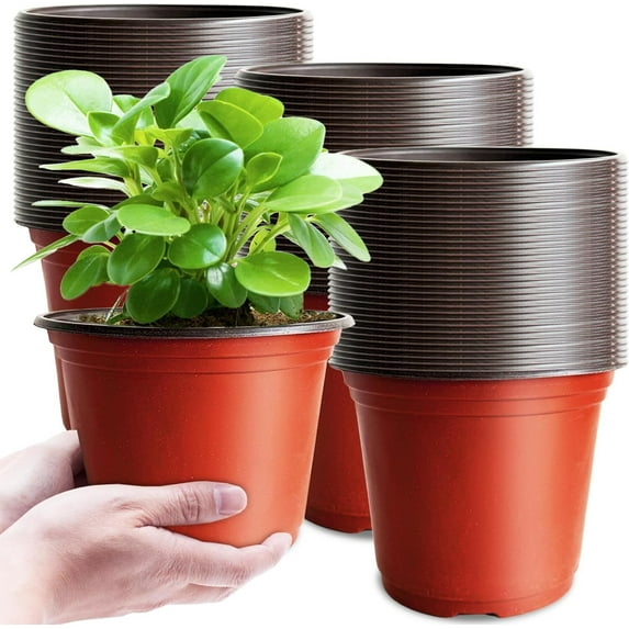GoXteam 100 Pieces Nursery Pots Variety Pack Plastic Plant Pots 6 Inch Flower Plant Container Plastic Seed Starting Pot for Seedlings Transplants Indoor Outdoor Garden Yard and Park (Red)