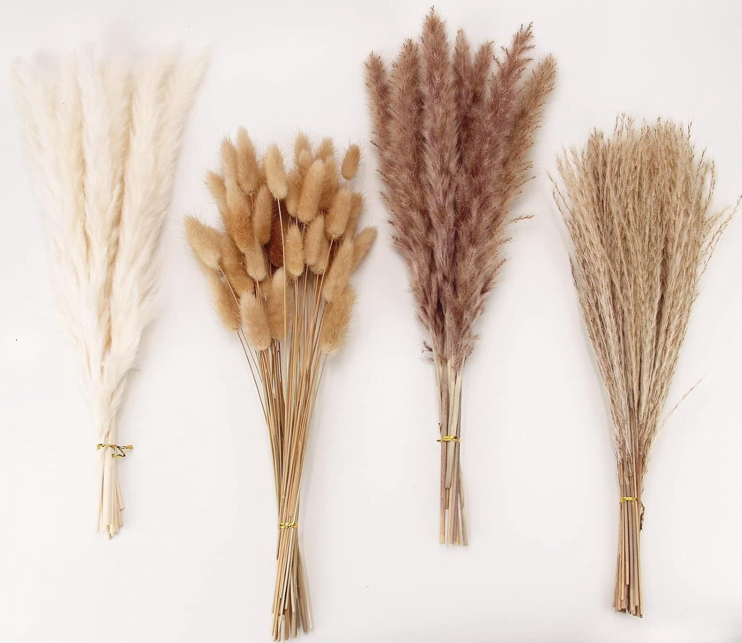 GoXteam 100Pcs Pampas Grass Decor-Bunny Tails Dried Flowers, Reed Grass Bouquet for Spring Home Wedding Table Vase Boho Decor