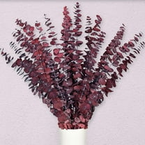 GoXteam 20pcs Dried Eucalyptus Stems, 17'' Natural Real Red Eucalyptus Leaves Branches Hanging Shower, Preserved Dried Plants for SPA Home Fragrance Bathroom Table Vase Decor