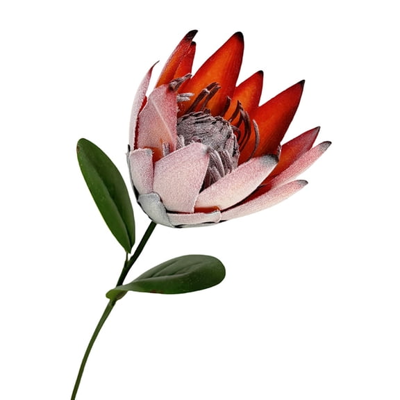 Goasio Artificial King Protea Flowers Lifelike Tropical Floral Arrangements Faux Protea Cynaroide with Stem for Wedding Centerpiece Home Office Table Decor