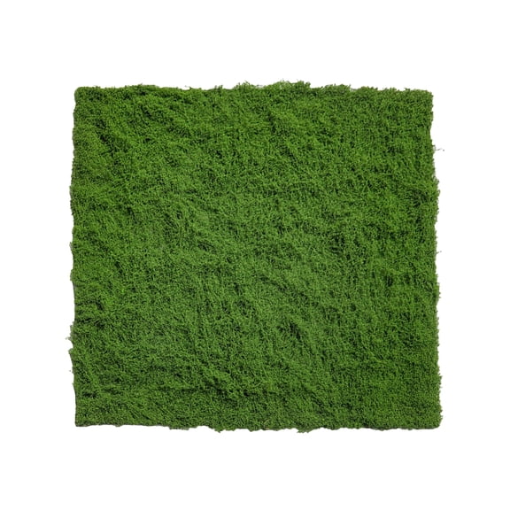 Goasio Artificial Moss Pad Realistic Faux Moss Planter Decor Green Fake Moss Turf for DIY Projects Craft Table Centerpieces Fairy Garden Decorations