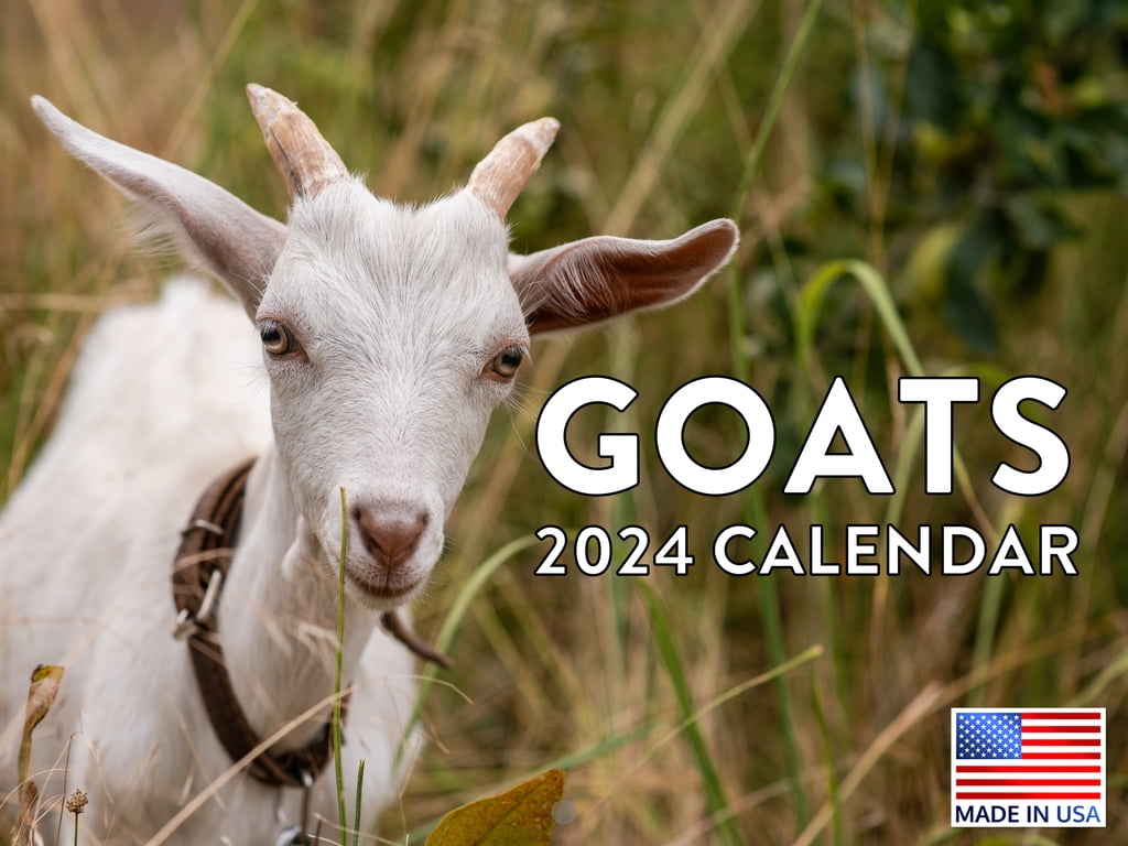 Goat Animal 2025 Wall Calendar Goat 2025 Calendar