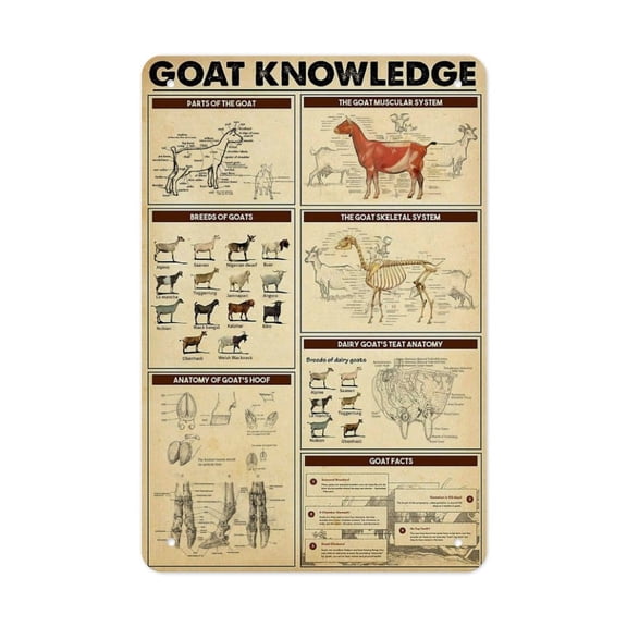 Goat Breeds & Anatomy Chart Creative Gift Tin Art - Unique Design - Housewarming Gift