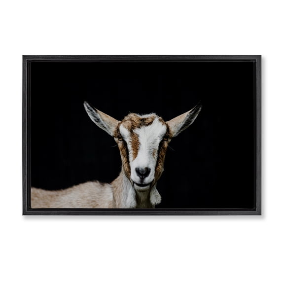 Goat Face over Black Black Framed Floater Canvas Wall Art, design by Amy Carroll