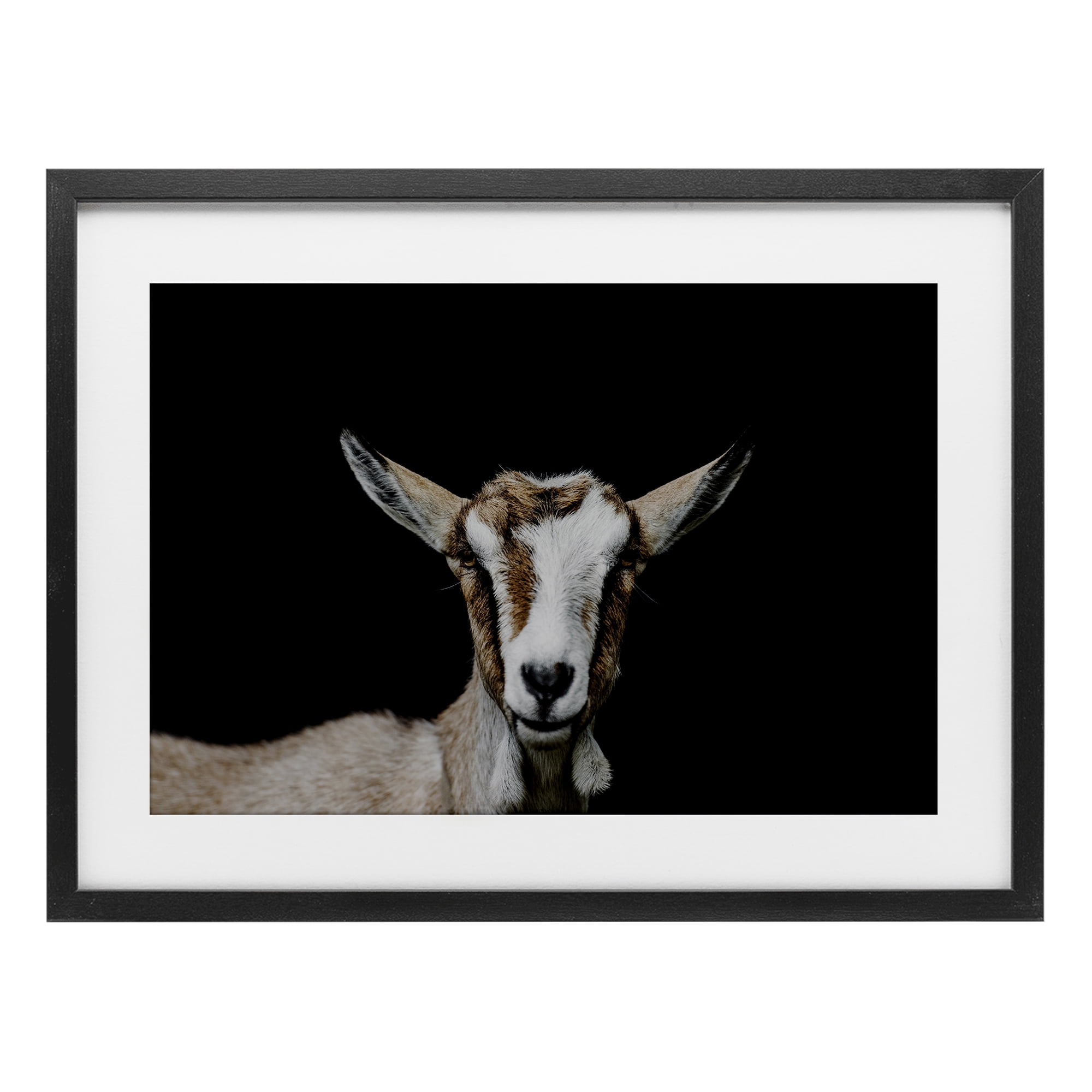 Goat Face over Black Black Framed Print Under Glass, design by Amy Carroll