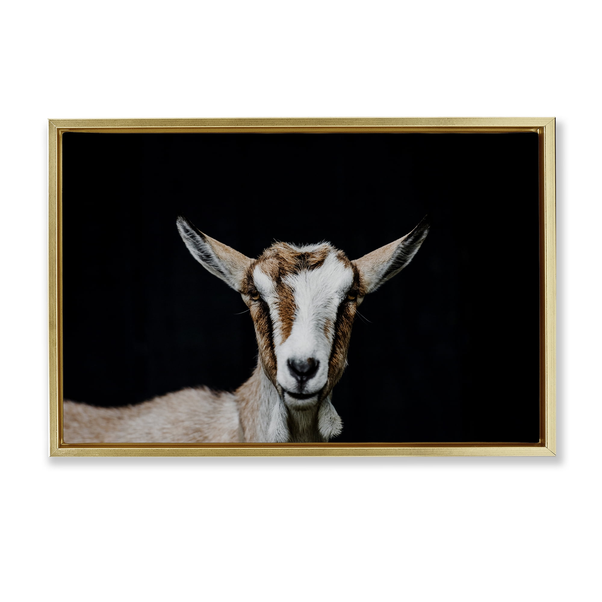 Goat Face over Black Gold Framed Floater Canvas Wall Art, design by Amy Carroll