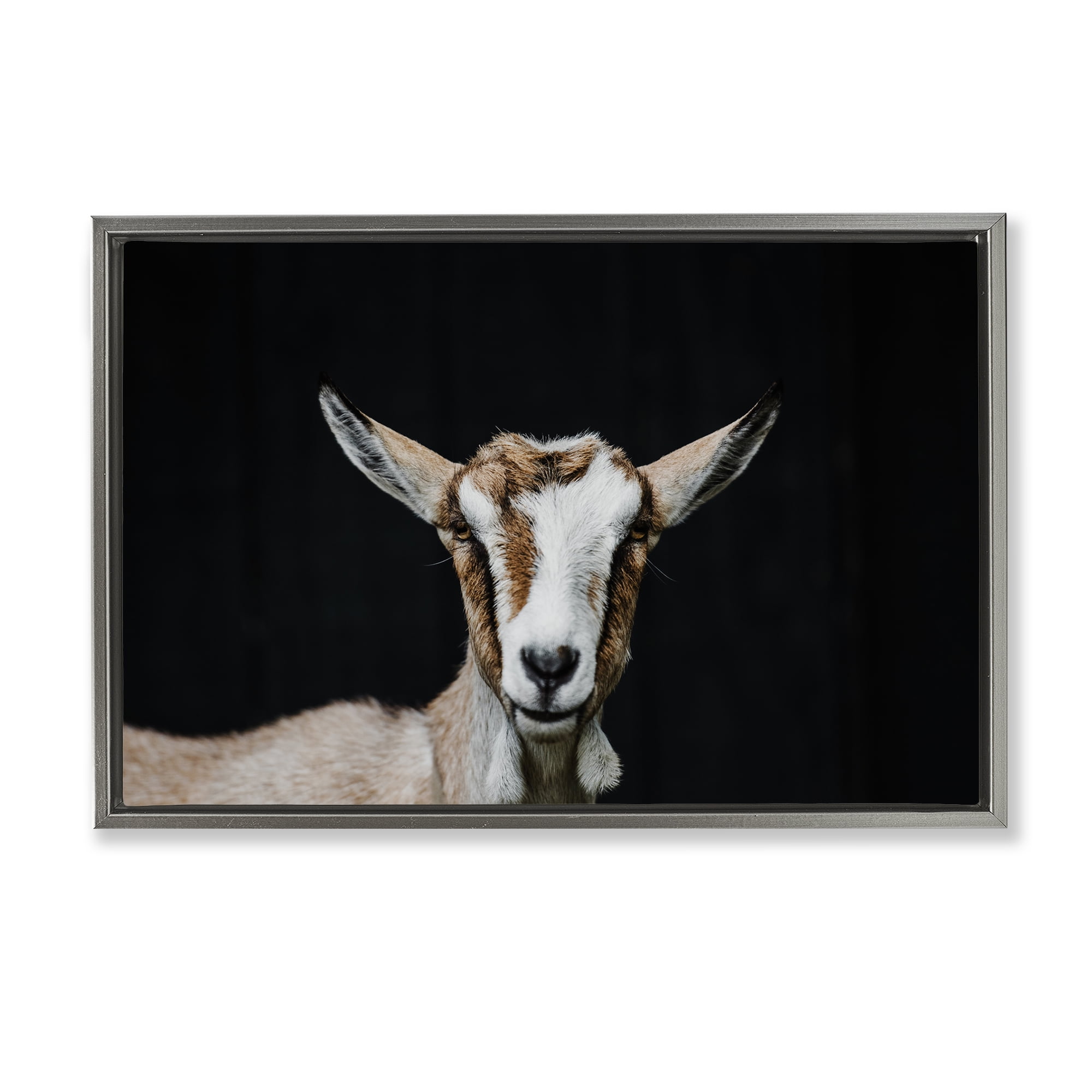 Goat Face over Black Gray Framed Floater Canvas Wall Art, design by Amy Carroll