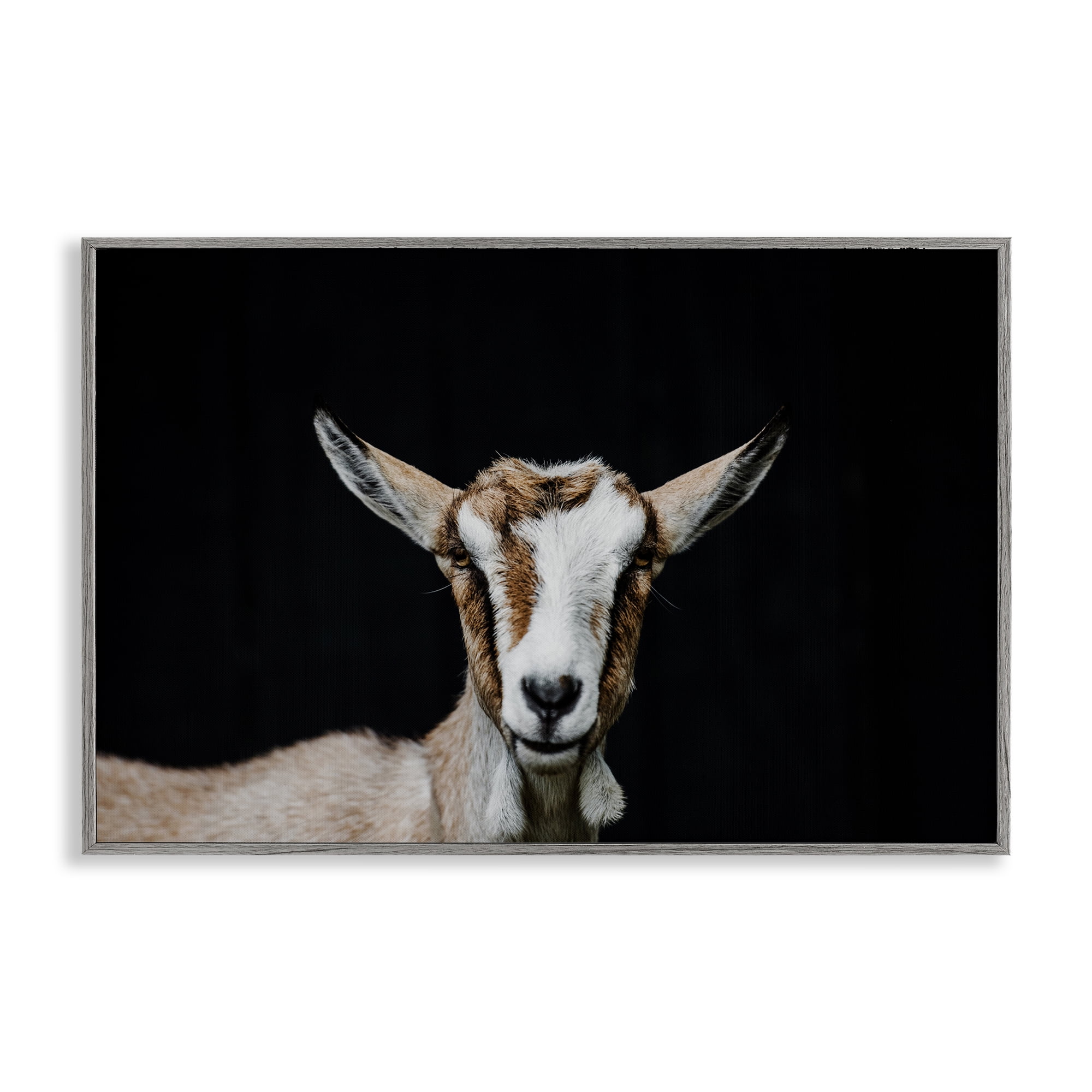 Goat Face over Black Gray Framed Giclee Art, design by Amy Carroll