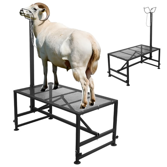 Goat Holding Stand with Adjustable Headpiece, 20"-34" Adjustable, Iron Goat Grooming Stand, Farm Animal Restraint Stand, for Animal Confinement, Trimming, Milking