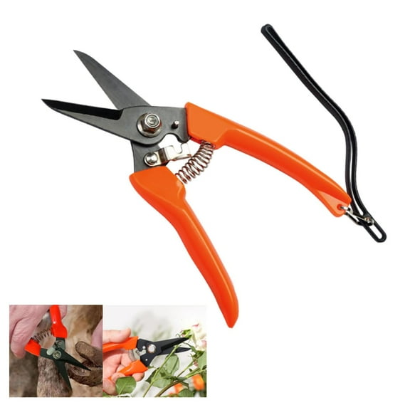 Goat Hoof Trimmer Shear Tool for Pruning and Foot Care Carbon Steel Design Ergonomic Handle for Easy Use