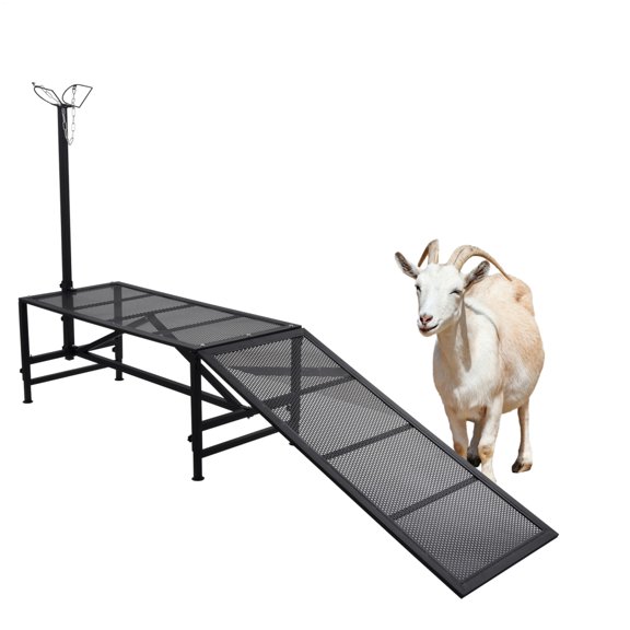 Goat Milking Stand | 330Lbs Capacity Shearing Stand with Ramp | Livestock Sheep Stand Trimming Stand with Headpiece Nose Loop for Sheep Lambs Goats