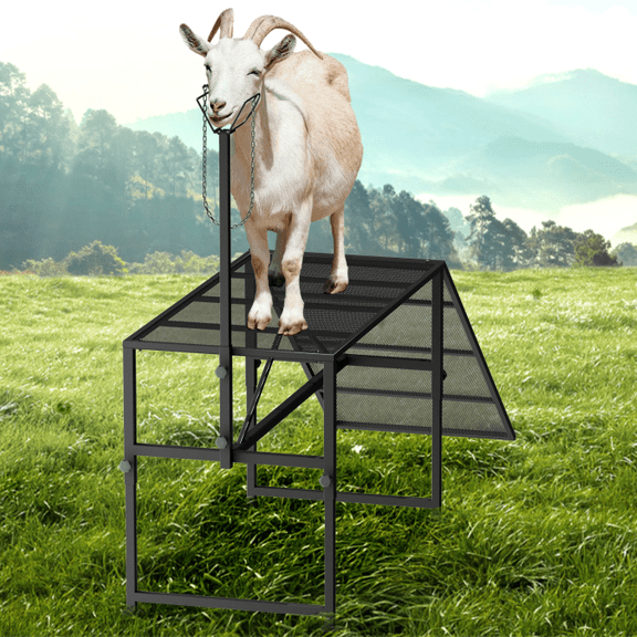 Goat Milking Stand, Adjustable Platform & Head Support, Durable Build, Stable, Livestock Shearing Stand, Farm, Barn, Ranch