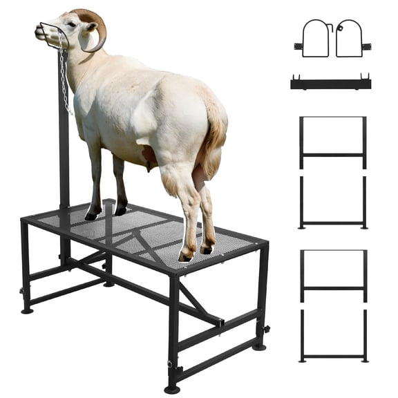 Goat Milking Stand with Lockable Headpiece, 500lbs Heavy Duty Goat Rack for Hoof Trimming & Washing, Adjustable Iron Livestock Platform for Goats & Sheep, Black