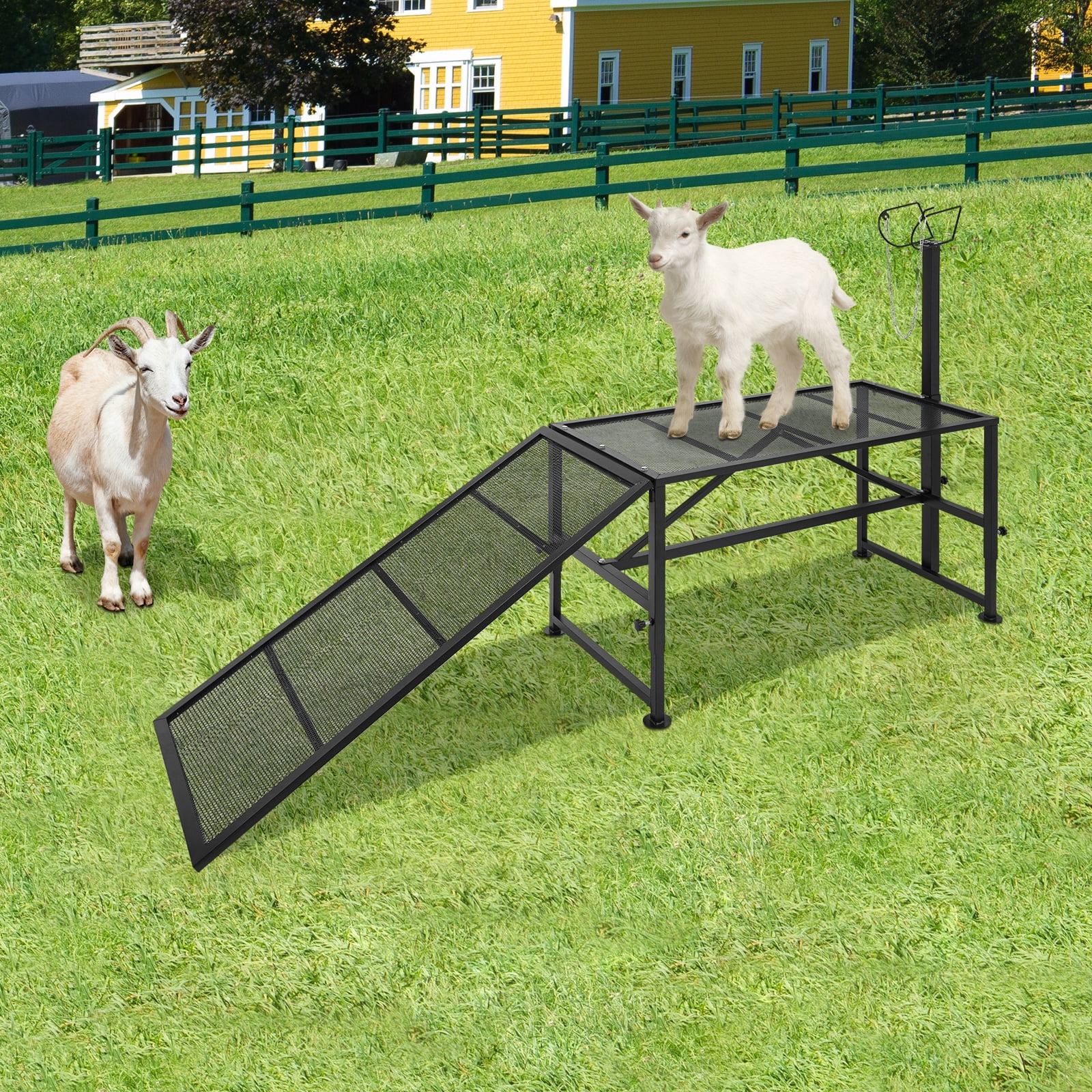 Goat Milking Stand with Ramp, Sheep Shearing Stand for Grooming ...