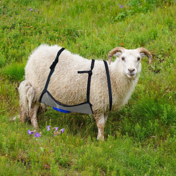 Goat & Sheep Anti-Mating Apron - Adjustable Breeding Control Skirt for Livestock - Durable Wear-Resistant Animal Apron with Secure Straps