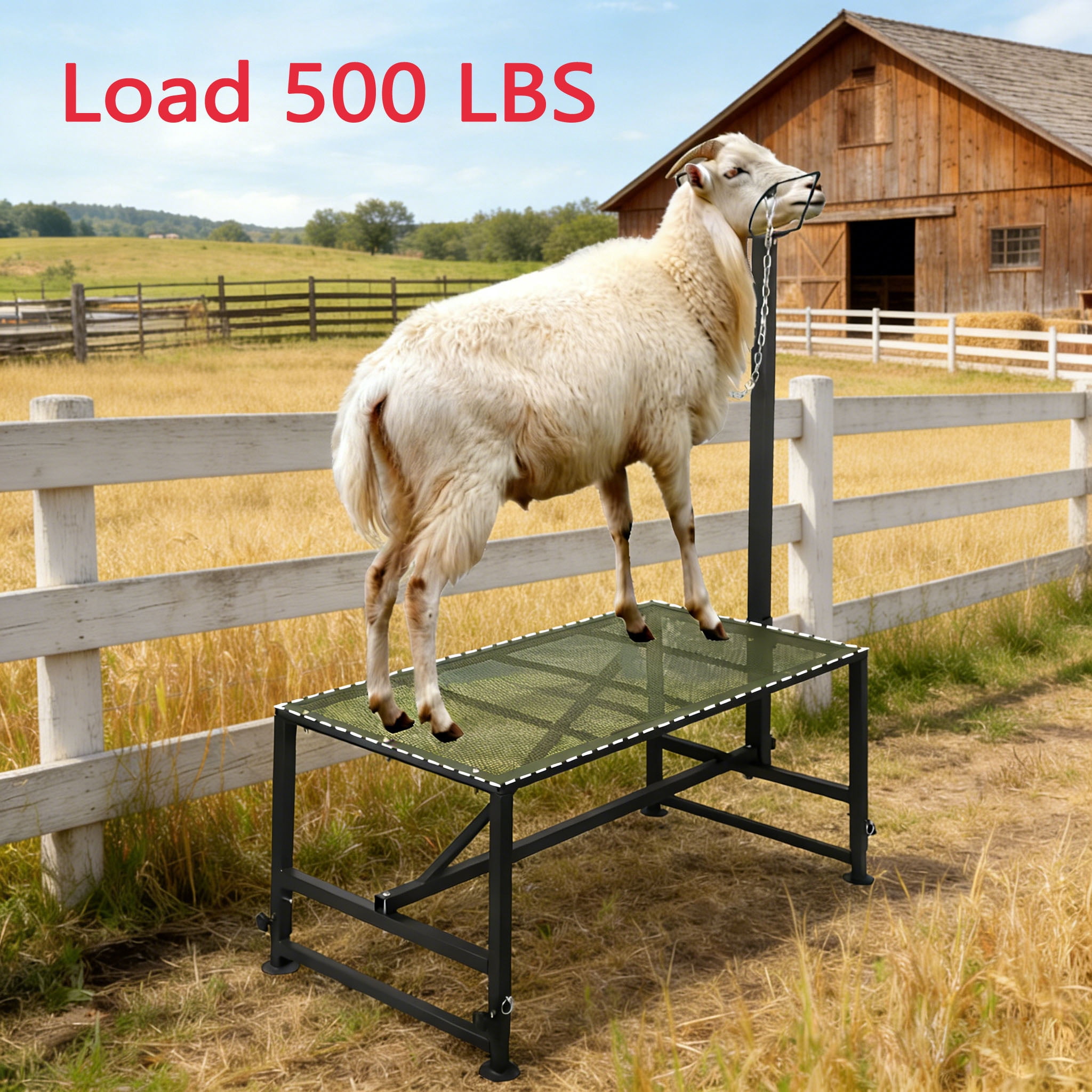 Goat Milking Stand