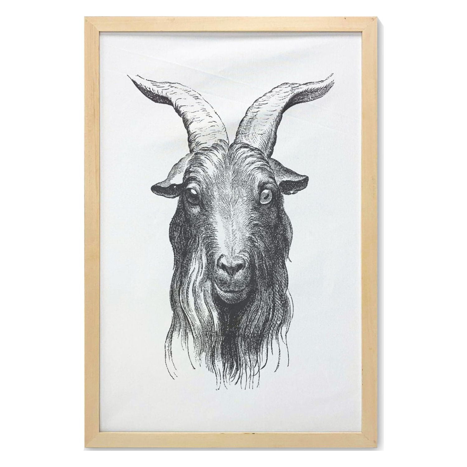 Goat Wall Art with Frame, Vintage Engraved Image of Goat Head