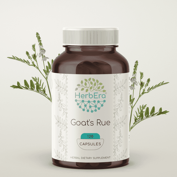 HerbEra Goat's Rue Capsules, Herbal Dietary Supplement for Lactation Support, Goat's Rue (Galega officinalis) Dried Herb Capsules, Natural, 120 Capsules