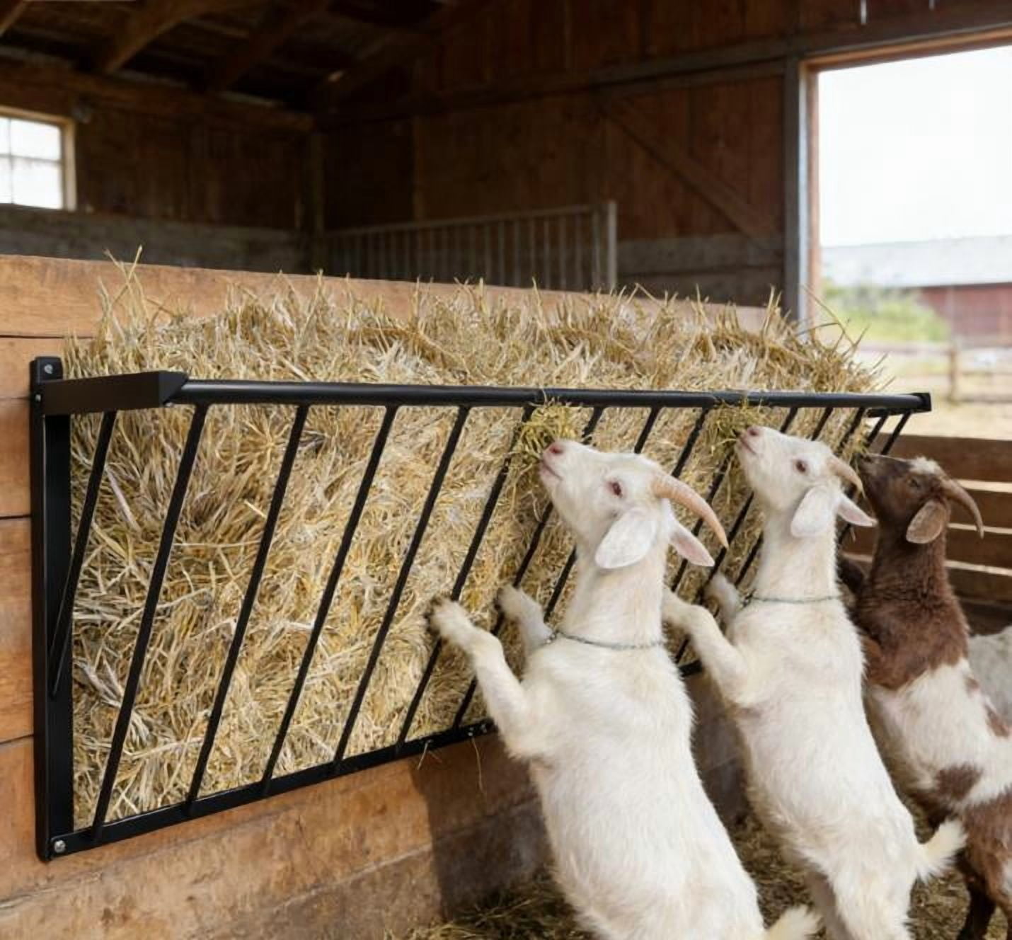 Wall Mounted Hay Rack 20 Gallon Goat Hay Feeder - Heavy Duty Iron Wall ...