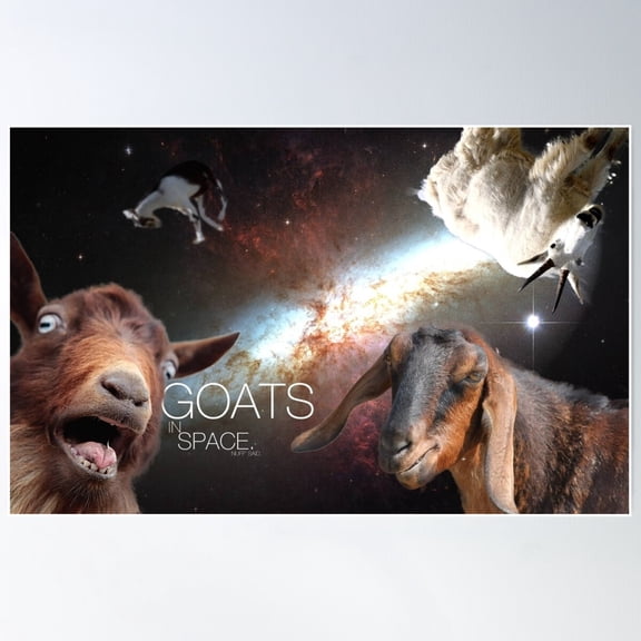 Goats In Space Poster Wall Art, Modern Wall Decor For Living Room Bedroom, 8x12 UNFRAMED