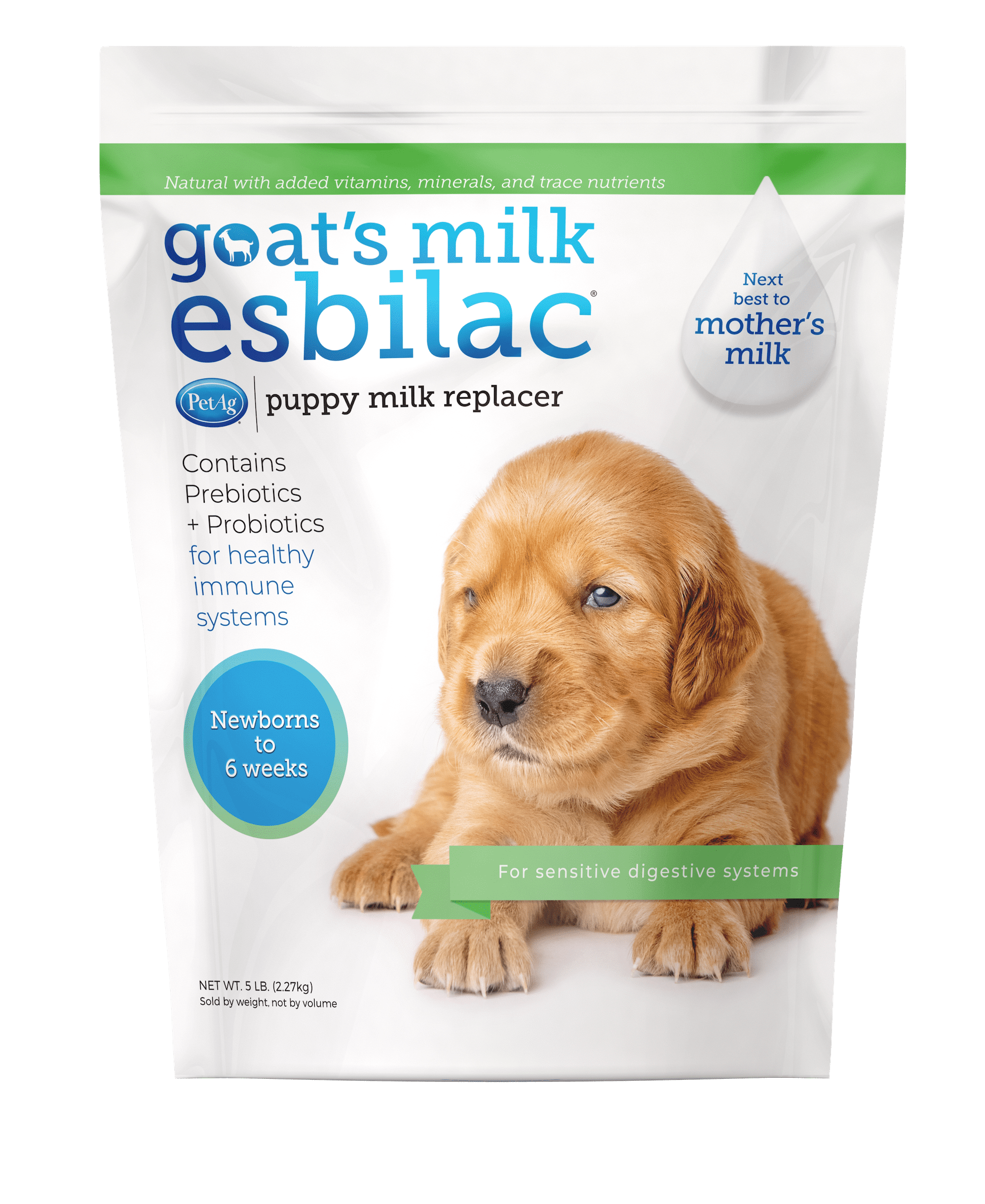 Best puppy milk best sale formula