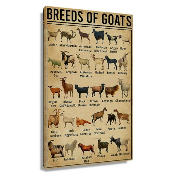 Goats Wall art Knowledge Poster Canvas Decoration Modern Artwork For Office Living Room Unframed 12x18 in