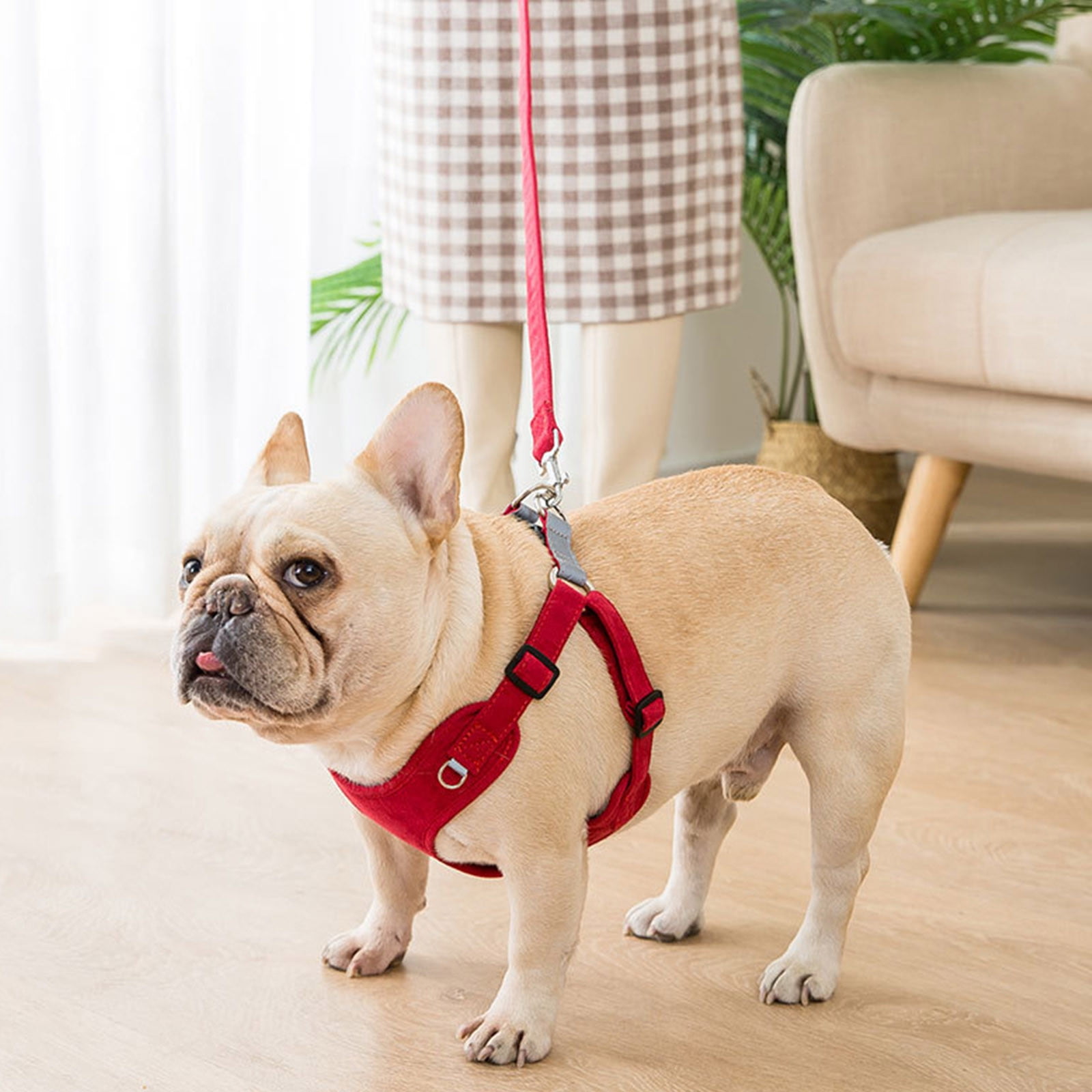 Voopet No-Pull Dog Harness For Small Dogs - Adjustable Vest With ID Pocket, 7 Patches & Padded Handle