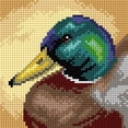 thumbnail image 1 of Gobelin canvas for halfstitch without yarn Mallard Duck 3513D, 1 of 4