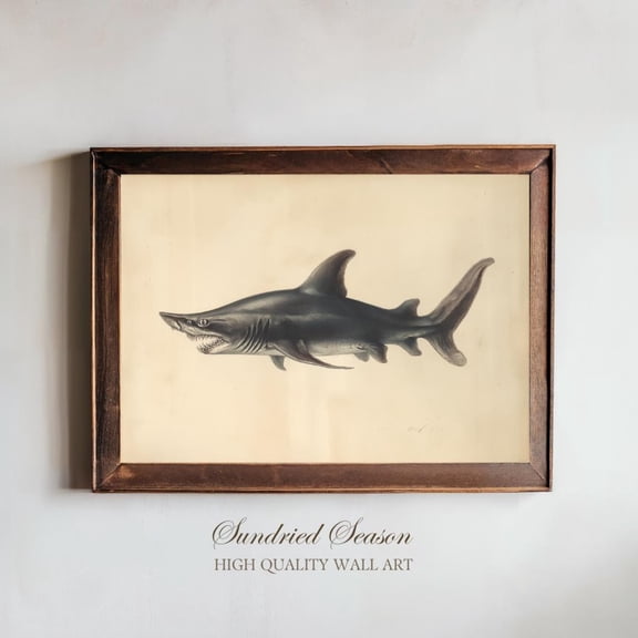 Goblin Shark Vintage Illustration Deep Sea Predator Scientific Wall Art, Unframed Canvas 24x36in