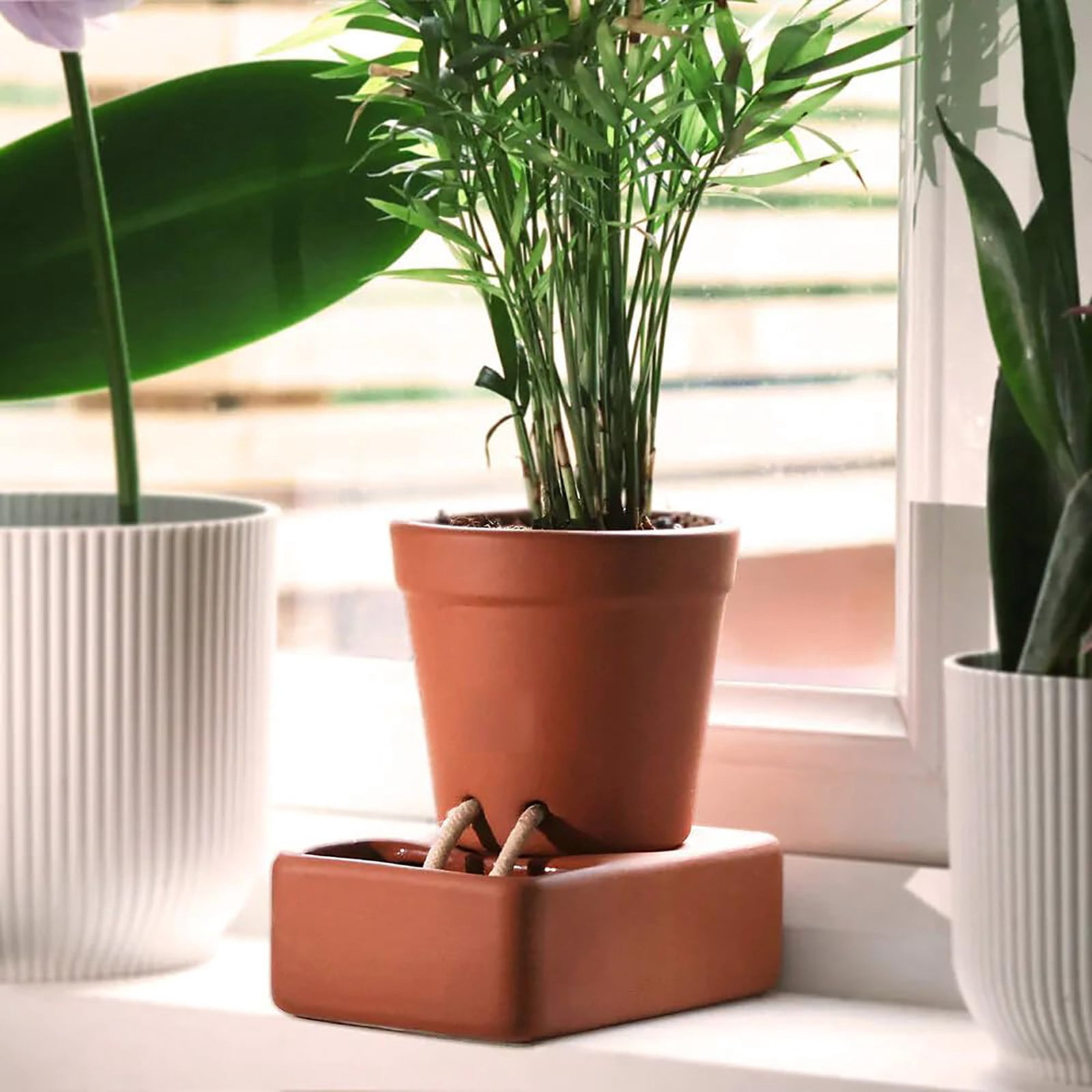 Gobwell Clearance Deal! Self Watering Planter with Cute Face Ceramic ...