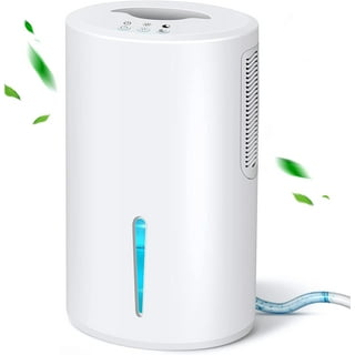 Walmart dehumidifier air purifier discount