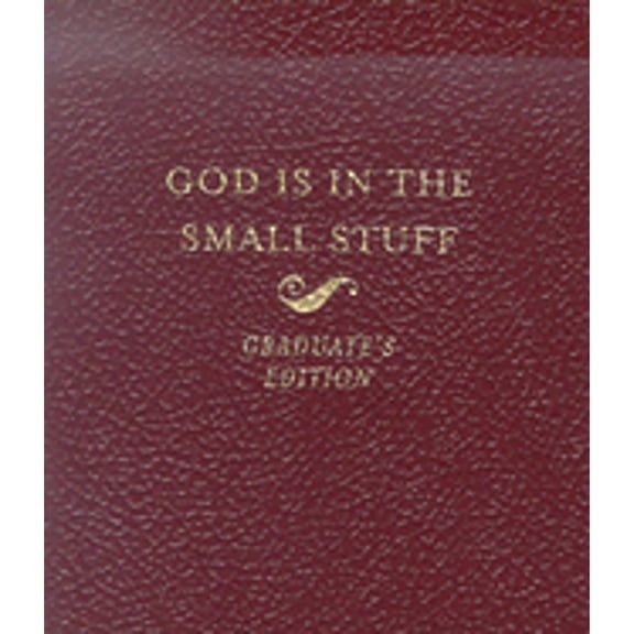 Pre-Owned God Is in the Small Stuff (Paperback) 1593102283 9781593102289