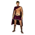 thumbnail image 1 of God Of Wine Men's Halloween Cosplay Costume, 1 of 2