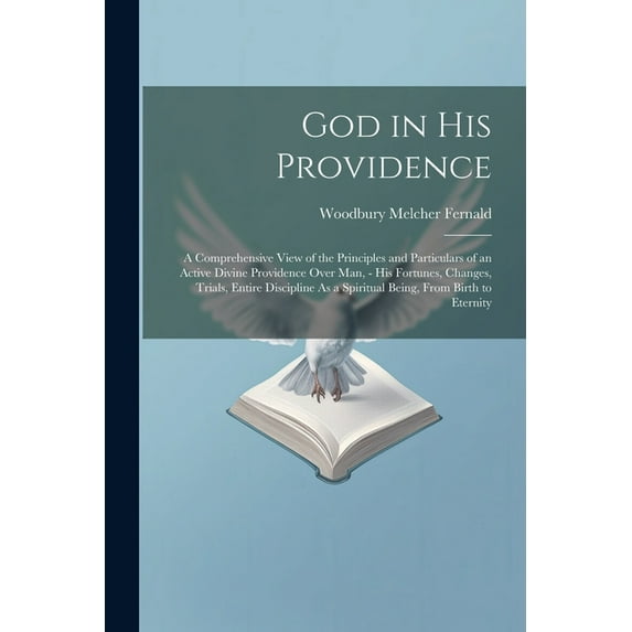 God in His Providence: A Comprehensive View of the Principles and Particulars of an Active Divine Providence Over Man, - His Fortunes, Changes, Trials, Entire Discipline As a Spiritual Being, From Bir