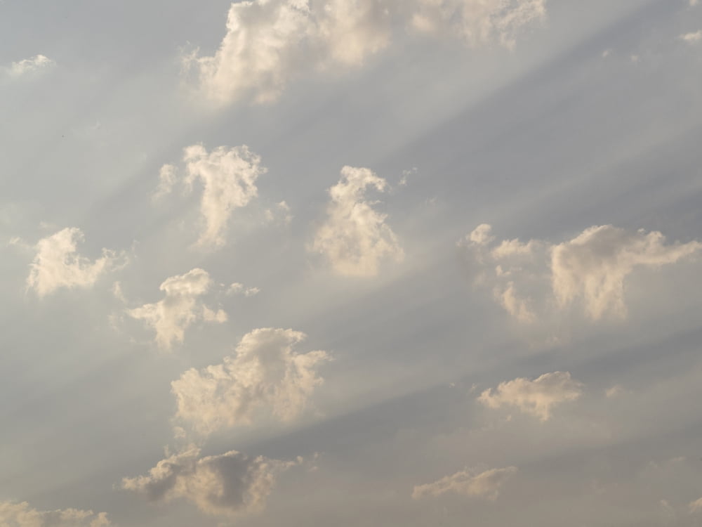 God Rays and clouds Okavango Delta Ngamiland Botswana Canvas Art - Panoramic Images (12 x 16)
