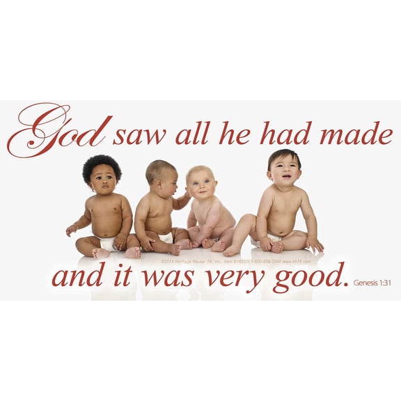 God Saw All Pro-Life Vinyl Sign