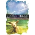 thumbnail image 1 of Pre-Owned God Sightings: God Sightings One Year Small Group Leader Guide (Paperback), 1 of 1