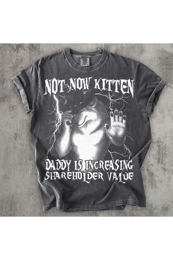 Not Now Kitten Daddy, Funny Werewolf Meme T-Shirt, Vintage Graphic Shirt, Weird Shirt, Grey S