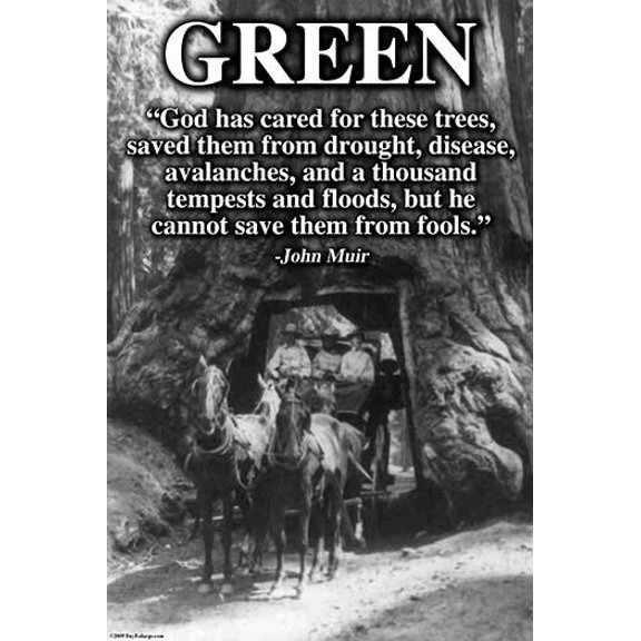 God has cared for these trees, saved them from drought, disease, avalanches, and a thousand tempests and floods, but he cannot save them from fools, John Muir Poster Print by Wilbur Pierce (24 x 36)