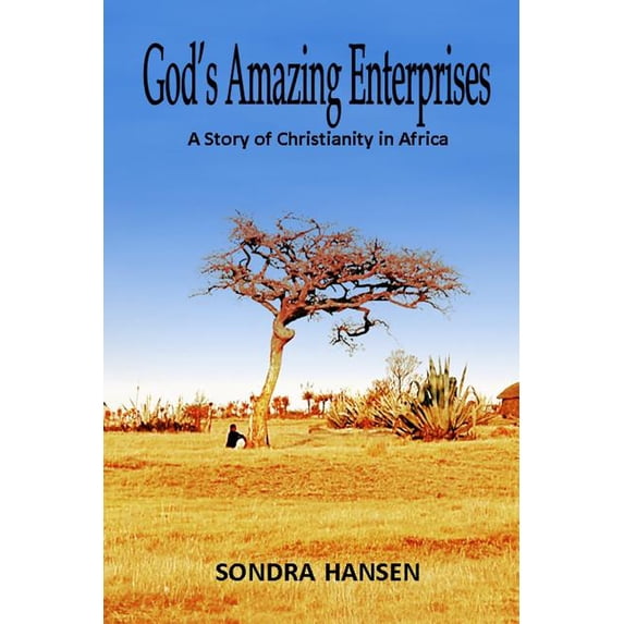God's Amazing Enterprises: A Story of Christianity in Africa, (Paperback)
