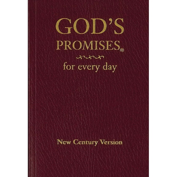 God s Promises For Every Day