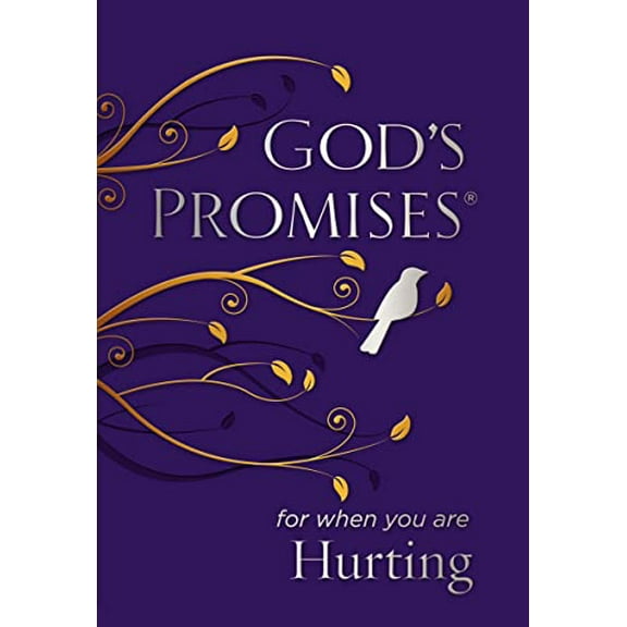 Pre-Owned God's Promises for When You Are Hurting (Paperback)