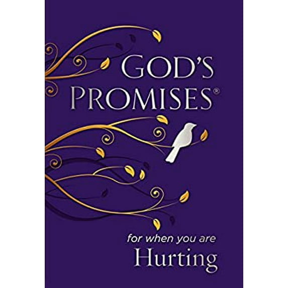 Pre-Owned God's Promises for When You Are Hurting (Paperback)