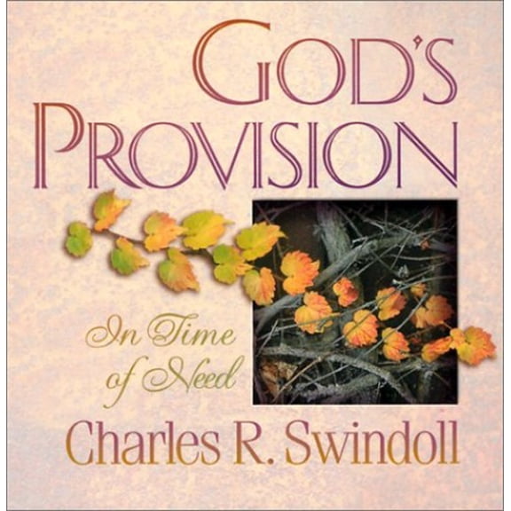 Pre-Owned God's Provision in Time of Need (Paperback) 0849995434 9780849995439