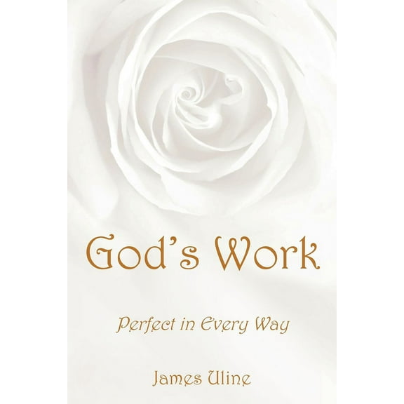 God's Work: Perfect in Every Way (Paperback)